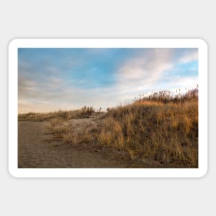 Golden Dunes Sticker